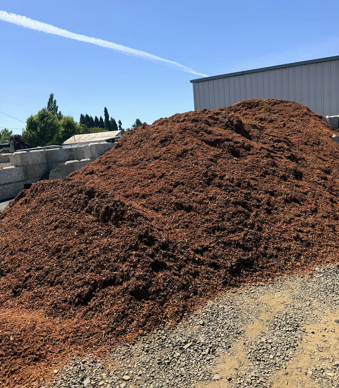Red bark dust in the bays at Green Yard